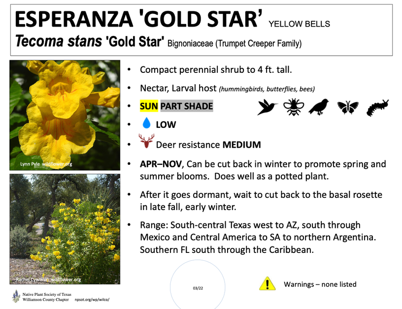 plant sign