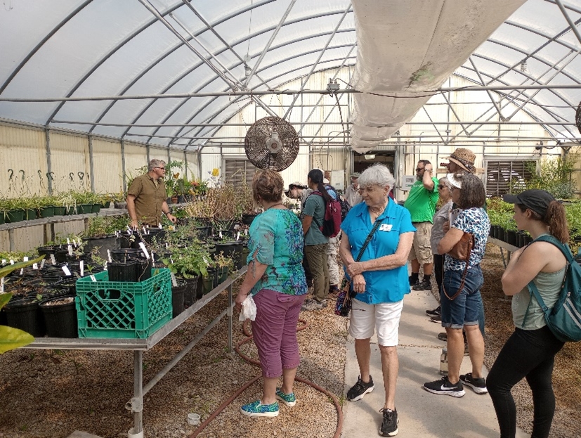 image inside greenhouse