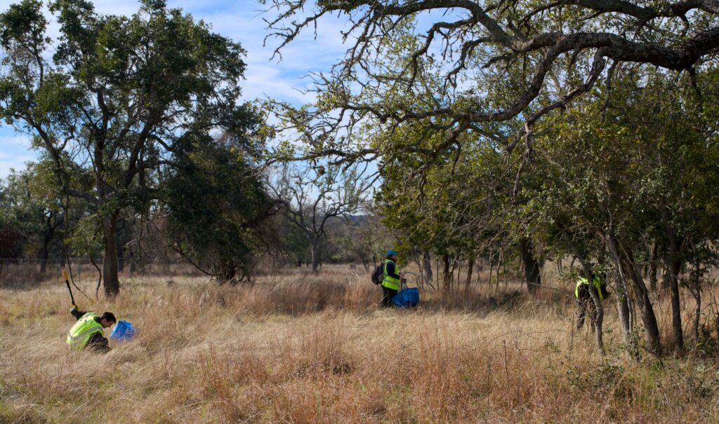 plant rescue site