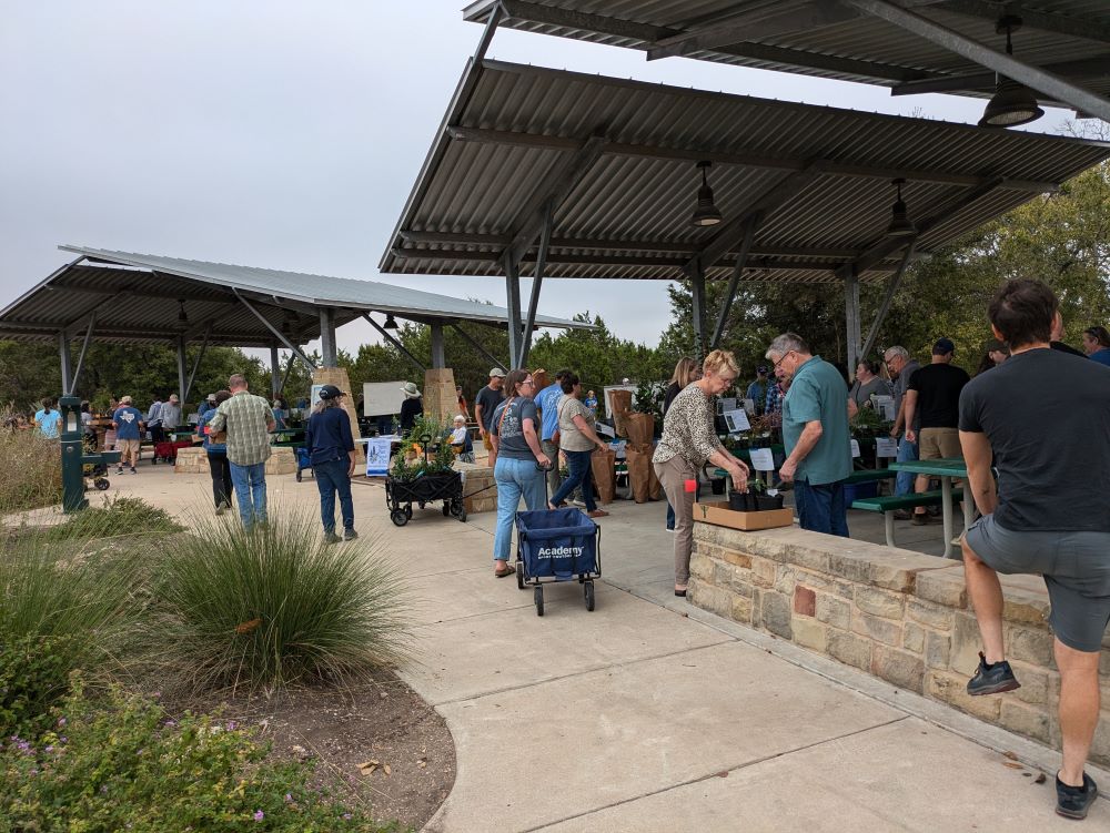 image of a plant sale