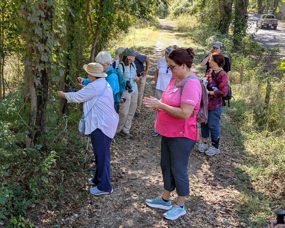 Hikers on trail