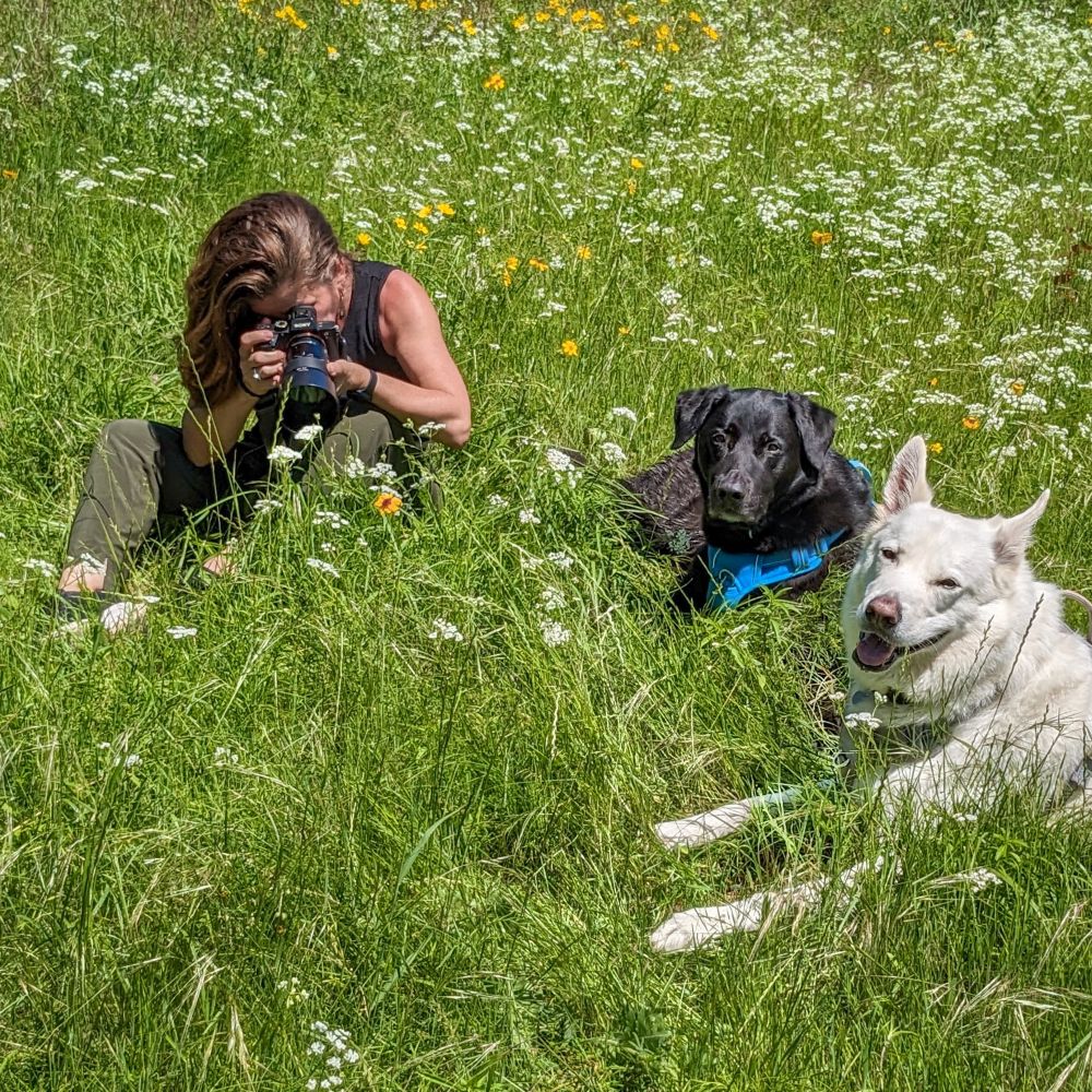 Photographer in field