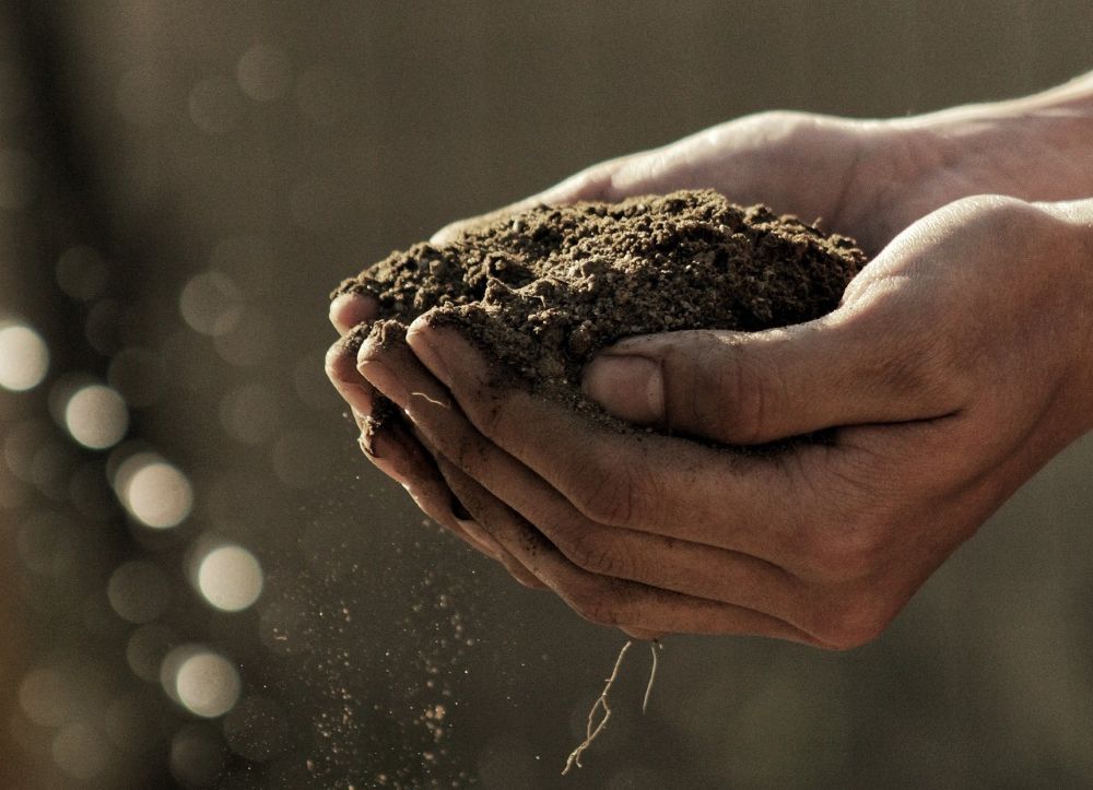 handful of soil