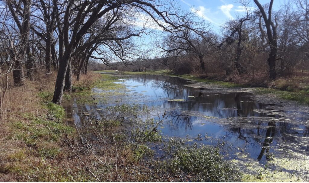 Berry Springs Park & Preserve