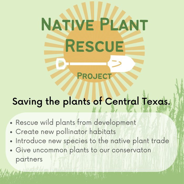 image of poster why save native plants