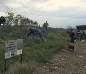 image of people working on planting bed