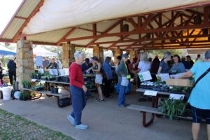 image of plant sale