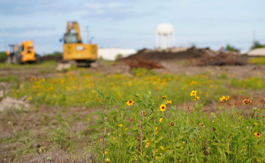 image of construction site, wildflowers in foreground