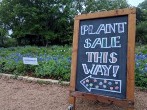 Sign pointing to plant sale