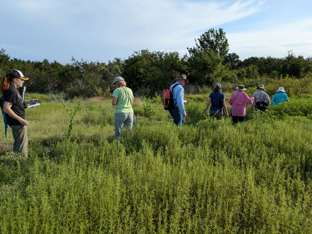 group hiking in field