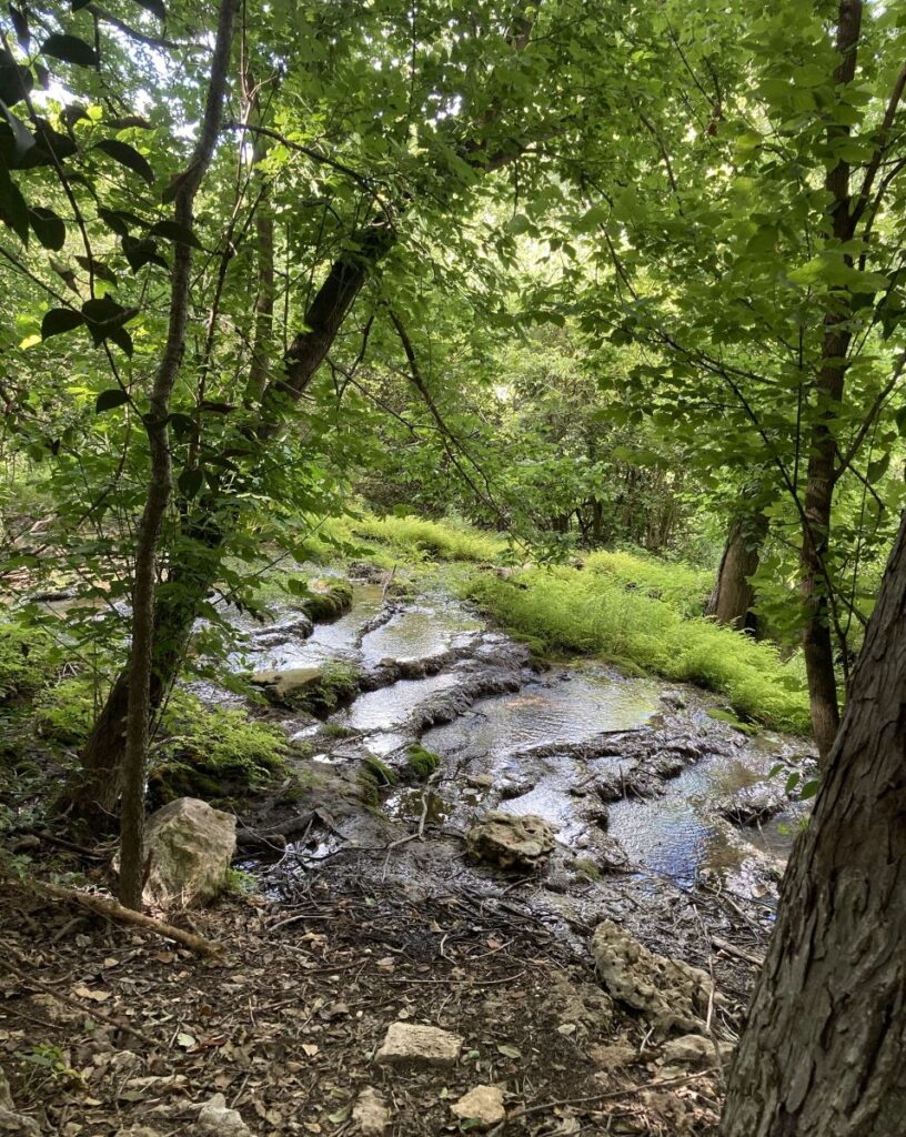 image of spring flowing