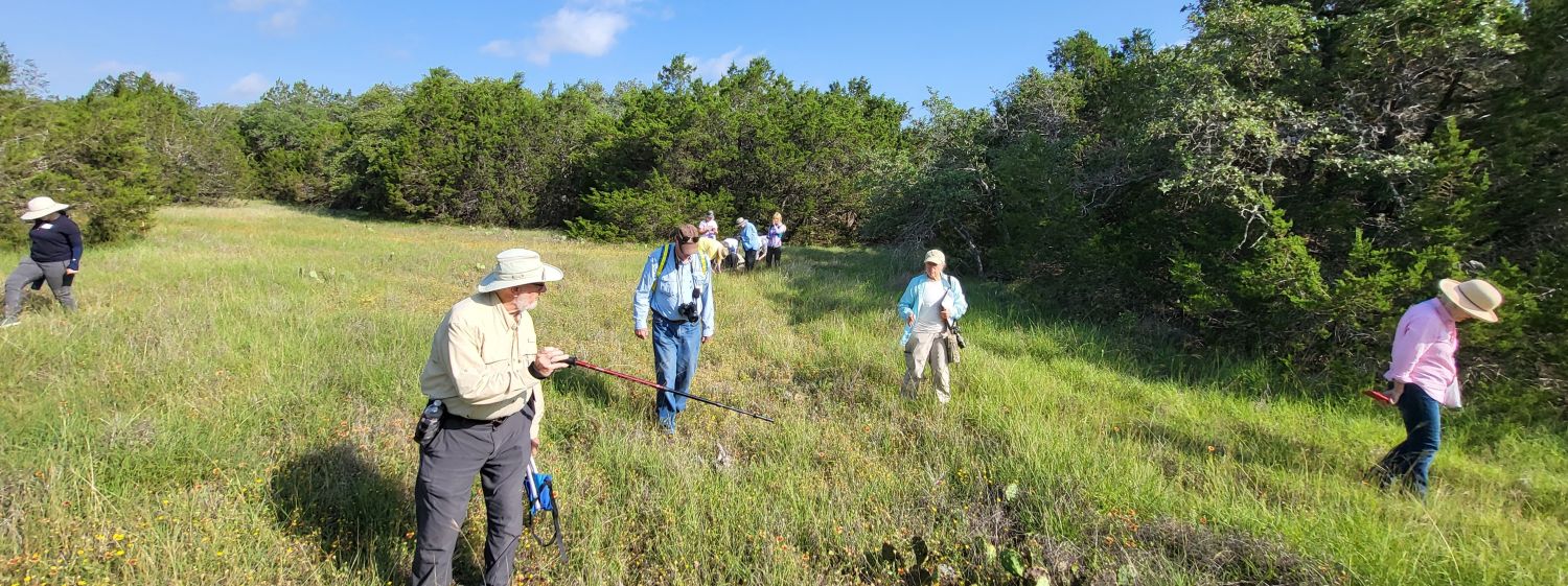 image of group hiking