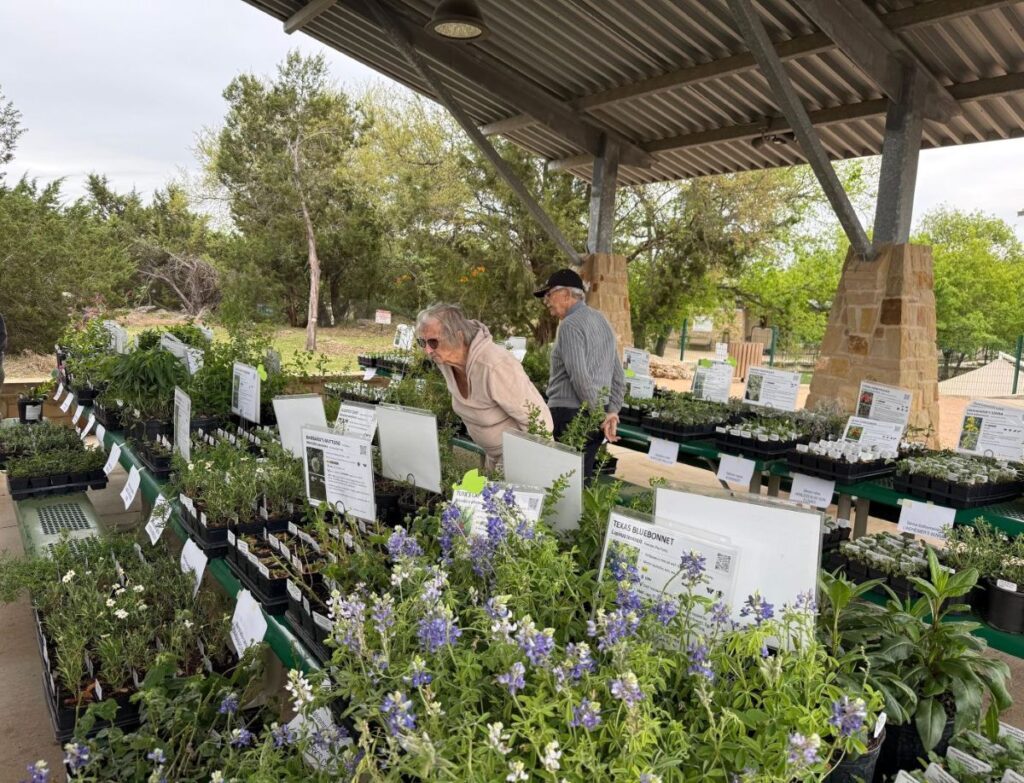 shopping at plant sale